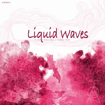 Cosmic Funk EP by Liquid Waves