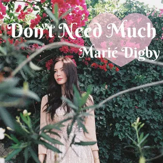 Don't Need Much by Marié Digby