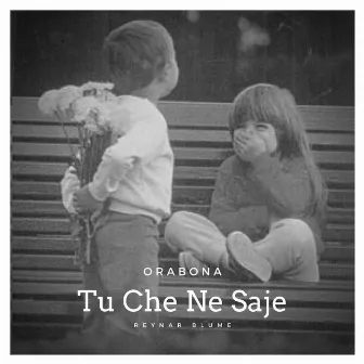 Tu che ne saje by Unknown Artist