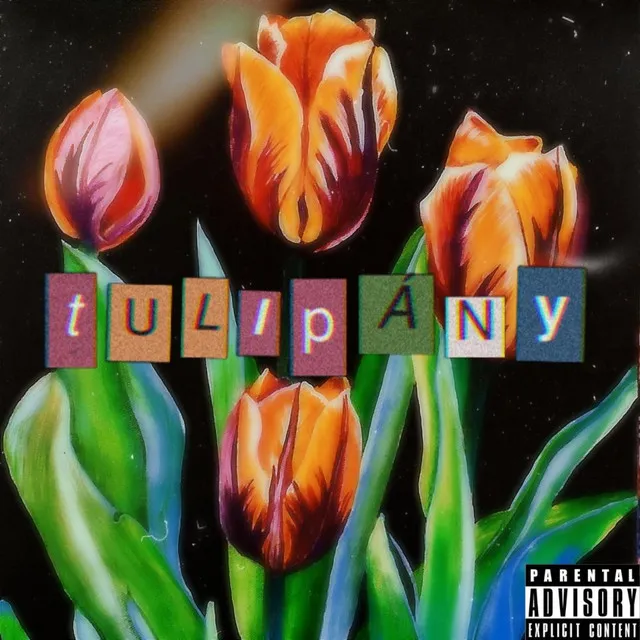 Tulipány