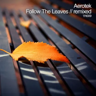 Follow The Leaves: Remixed by Aerotek