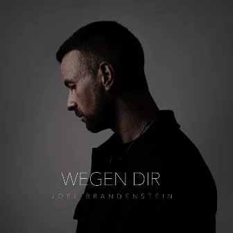 Wegen Dir by Joel Brandenstein