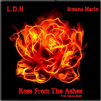 Rose from the Ashes by L.D.N