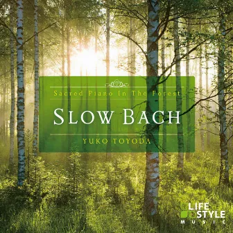 Slow BachSacred Piano In The Forest - Sacred Piano In The Forest by 豊田裕子