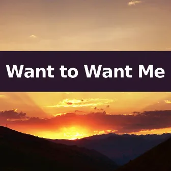 Want to Want Me by Instrumental Pop Hits