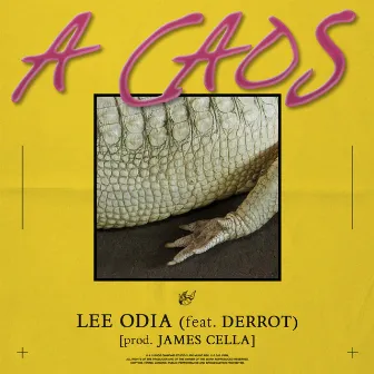 A Caos by Lee Odia