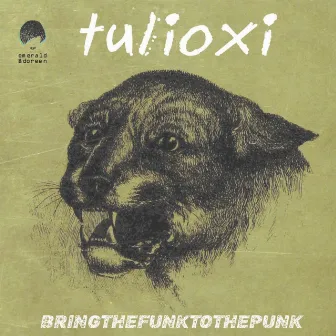 Bring the Funk to the Punk by Tulioxi