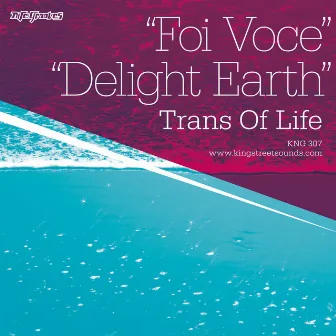 Foi Voce / Delight Earth by Trans Of Life