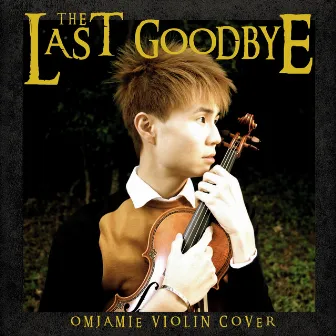 The Last Goodbye (Violin Cover) (from The Hobbit: The Battle Of The Five Armies) by Billy Boyd