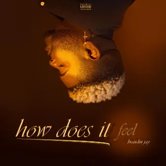 How Does It Feel by Brandin Jay