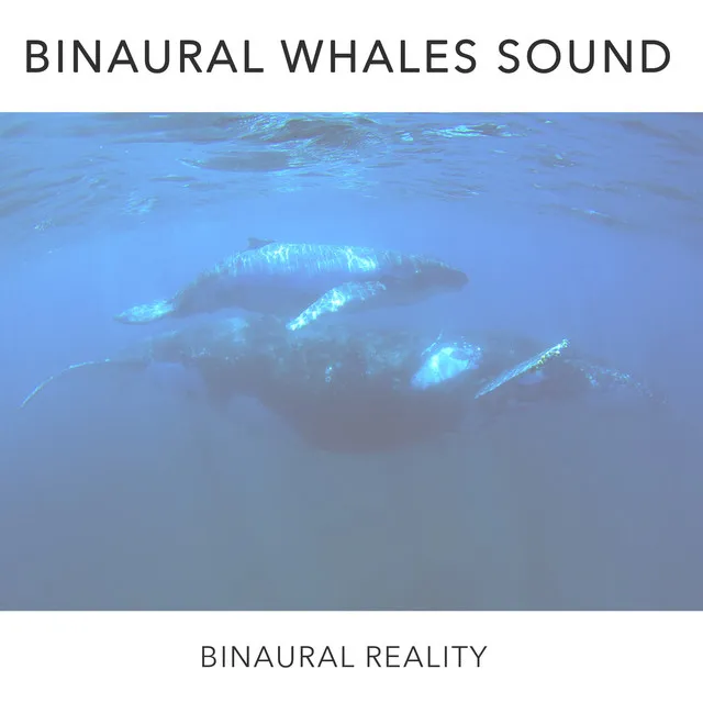 Binaural Reality