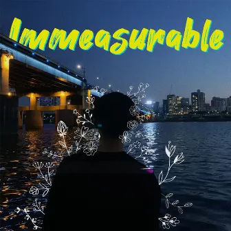 Immeasurable by envie