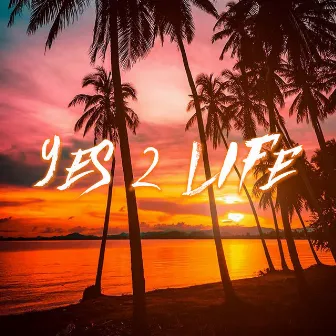 Yes 2 Life by DLMND