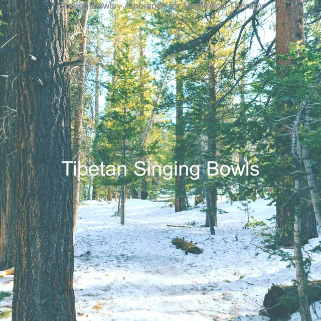 Singing Bowls - Ambiance for Meditation Therapy