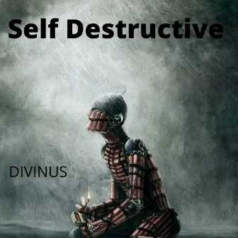 Self Destructive by Divinus