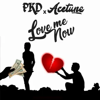 Love Me Now by Acetune