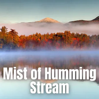 Mist of Humming Stream by cloudcity