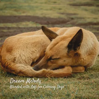 Dream Melody: Blended with Lofi for Calming Dogs by Lofiwaala