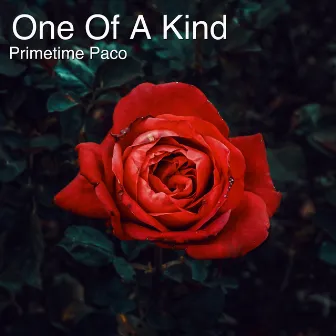 One of a Kind by Primetime Paco