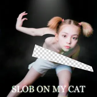 Slob On My Cat by David de Che