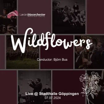 Wildflowers (Live @ Stadthalle Göppingen 07.07.2024) by Björn Bus