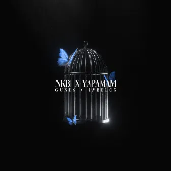 NKBİ X YAPAMAM (Remix) by Lvbel C5