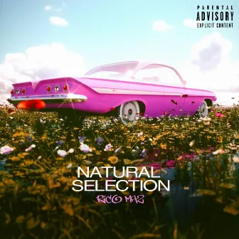 Natural Selection by Rico Maz