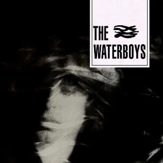 The Waterboys by The Waterboys