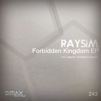 Forbidden Kingdom EP by RAYSIM