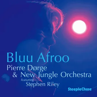 Bluu Afroo by Pierre Dørge