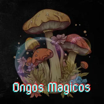 Hongos Magicos by Philly H