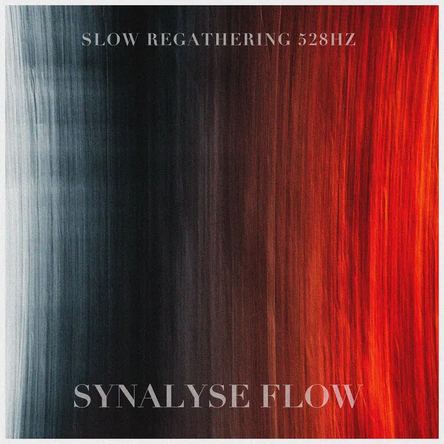 Synalyse Flow