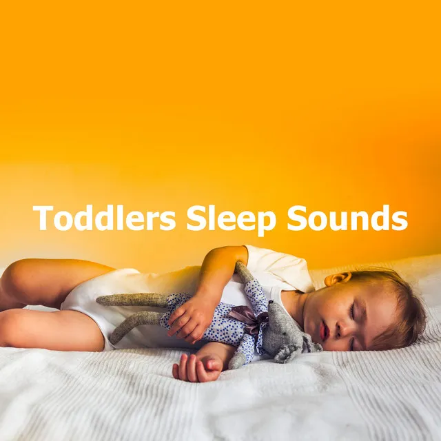 Toddlers Sleep Sounds