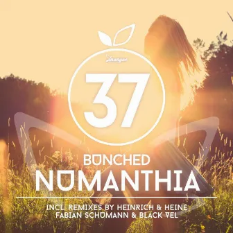 Numanthia by Bunched