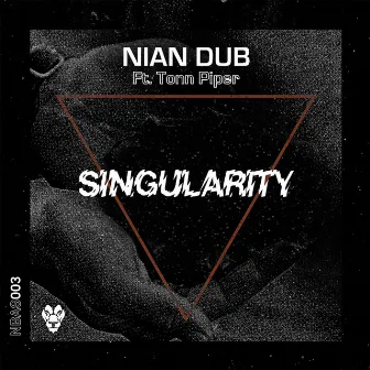 Singularity by Nian Dub