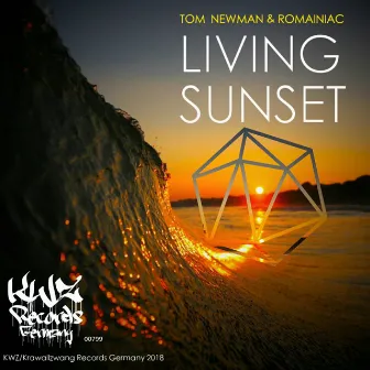 Living Sunset by Tom Newman