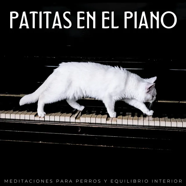 Patitas En El Piano: Meditaciones Para Perros Y Equilibrio Interior