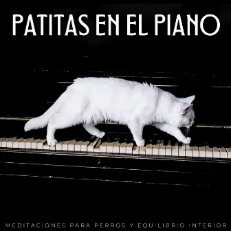 Patitas En El Piano: Meditaciones Para Perros Y Equilibrio Interior by Listas de reproducción de música relajante para perros