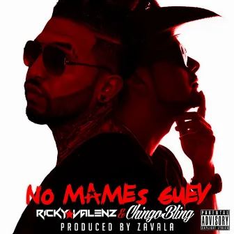 No Mames Guey (feat. Chingo Bling) by Ricky Valenz