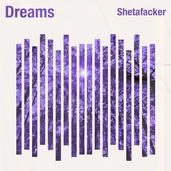 Dreams by Shetafacker