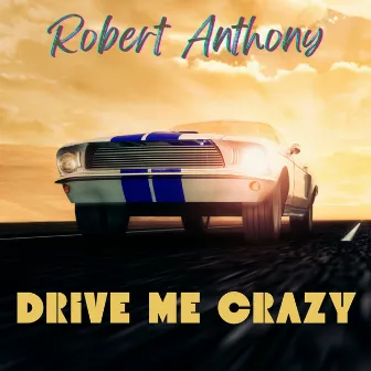 Drive Me Crazy by Robert Anthony