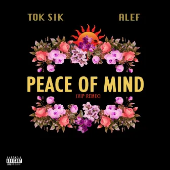 Peace Of Mind (VIP Remix) by Tok Sik