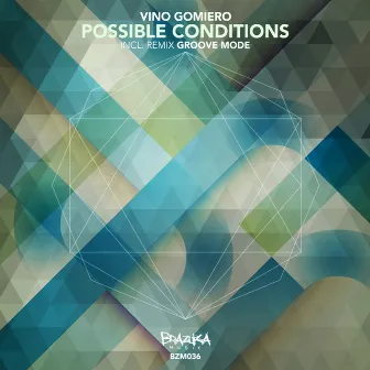 Possible Conditions by Vino Gomiero