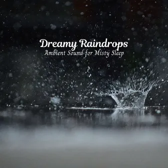 Dreamy Raindrops: Ambient Sound for Misty Sleep by The Sleep Diaries