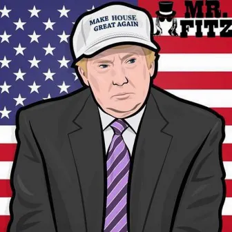 Make House Great Again by Mr. Fitz