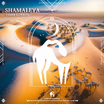 Shamaleya by Tamer ElDerini