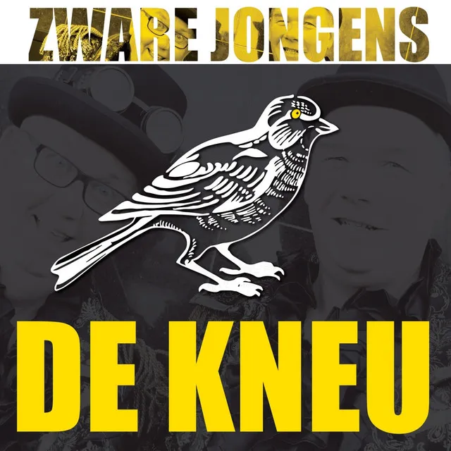 De Kneu