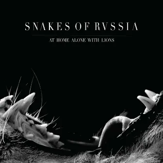 At Home Alone With Lions by Snakes of Russia