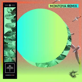 Caña (Montoya Remix) by Montoya