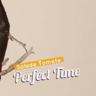 Perfect Time by Salade Tomate